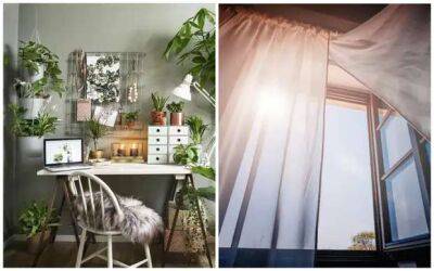8 практичных решений, которые помогут избавиться от неприятного запаха в маленькой квартире-студии - lublusebya.ru