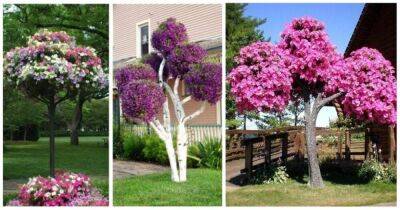 Дерево из петунии — необычный способ показать прекрасный цветок во всей красе - lifehelper.one