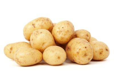 Вся правда о картофеле - fokus-vnimaniya.com