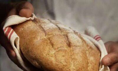 Сохраняем хлеб свежим и вкусным несколько месяцев - milayaya.ru