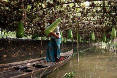 В Бангладеш возрождают плавучие фермы для борьбы с изменением климата - chert-poberi.ru - Бангладеш
