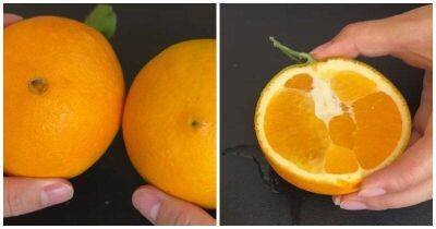 Главные отличительные признаки самых сочных и сладких апельсинов - lifehelper.one