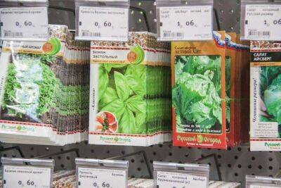 10 ошибок при покупке семян: многие дачники сами ставят крест на будущем урожае - sadogorod.club