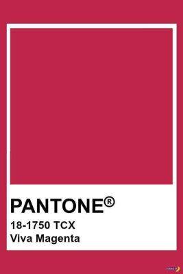 Pantone представил цвет года 2023 - chert-poberi.ru