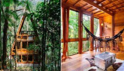 «Дом-обезьян» в джунглях Бразилии: реализованная мечта архитектора - chert-poberi.ru - Бразилия - Сан-Паулу