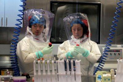 Китайские учёные обнаружили 8 новых опасных для человечества вирусов - porosenka.net - Китай
