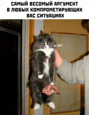 Мемы и картинки №41020630092023 - chert-poberi.ru