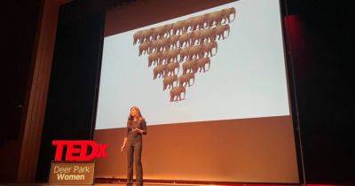 Олена Зеленська - Юлія Кушер виступила на TEDx Deer Park Woman 2023 - womo.ua - Сша