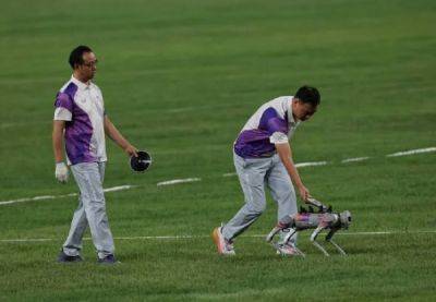 Собаки-роботы частично заменили волонтеров на Азиатских играх в Китае - porosenka.net - Китай