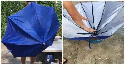 Посмотрите, как неординарно умелец смог применить старый зонтик на дачном участке - milayaya.ru