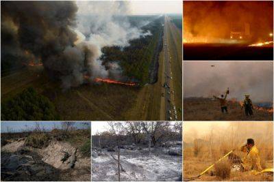 Лесные пожары бушуют в Аргентине - porosenka.net - Бразилия - Уругвай - Аргентина - Парагвай