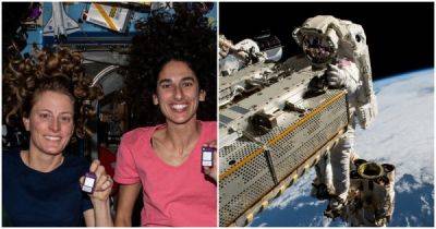 Женщины-астронавты потеряли сумку с инструментами в открытом космосе - porosenka.net - Япония