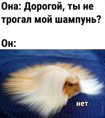 Мемы и картинки №37230406112023 - chert-poberi.ru