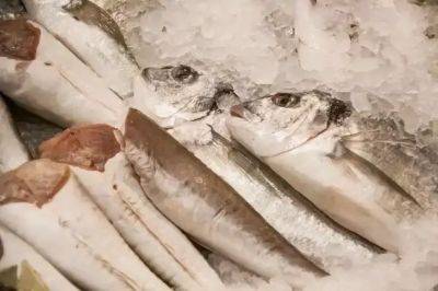 Как быстро почистить рыбу: 3 эффективных способа - belnovosti.by