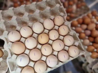 Как проверить свежесть яиц: используйте быстрый и эффективный способ - belnovosti.by