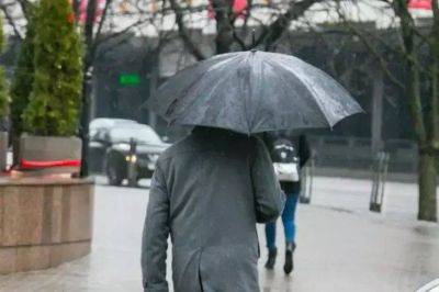 Что делать с зонтом с заржавевшими спицами: простое решение проблемы - lifehelper.one