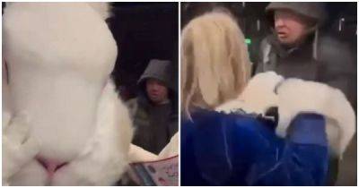 Женщина в ростовой кукле кролика избила пьяного мужчину в Красноярске - porosenka.net - Красноярск