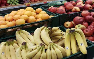 Как правильно покупать фрукты зимой: смотрите на общее состояние продукта - belnovosti.by - Сша