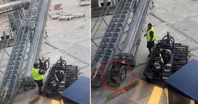 Работники авиакомпании небрежно вышвыривают из самолёта инвалидные коляски пассажиров - porosenka.net - Сша