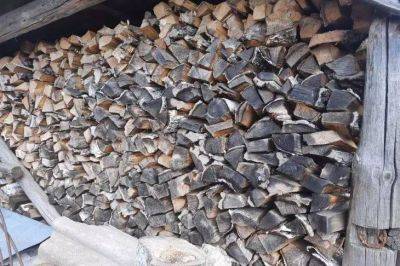 Какими дровами лучше не топить печь на даче: это вредно для всей конструкции - lifehelper.one