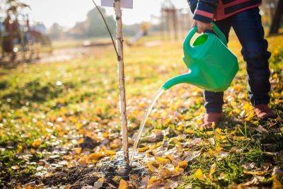 Подзимний полив сада осенью: 5 основных моментов, которые нужно знать - lifehelper.one