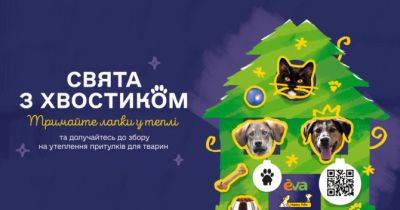 EVA та Happy Paw запустили проєкт допомоги тваринам у притулках - womo.ua