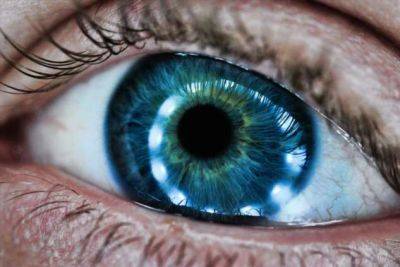 О какой личности говорят Голубые глаза человека и почему они умнее других, и лучше переносят боль - chert-poberi.ru