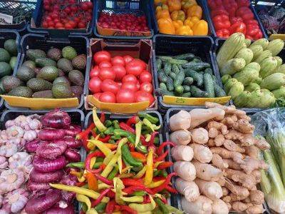 Как варить овощи, чтобы они не потеряли пользу: рекомендации и советы поваров - lifehelper.one