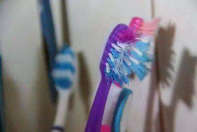 Как часто нужно менять зубную щётку: если этого не делать, может появиться неприятный запах изо рта - lifehelper.one
