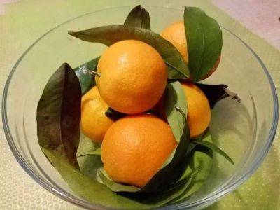 Как превратить кислые мандарины в сладкие: проще не бывает - lifehelper.one