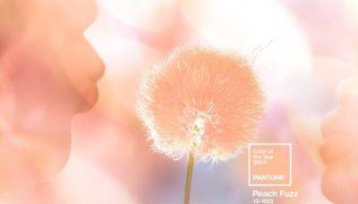 Pantone назвал цветом 2024 года «персиковый пух» - fokus-vnimaniya.com