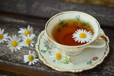 Екатерина II (Ii) - Какой чай выбрать для здорового питания? - shkolazhizni.ru - Китай - Индия - Япония - Юар