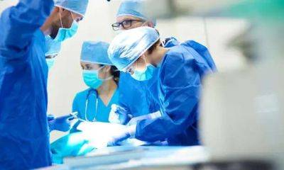 Попытка №2: хирурги пересадили сердце генномодицифированной свиньи человеку - milayaya.ru