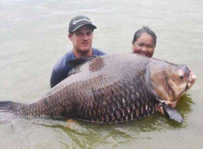 Турист из Великобритании поймал в Тайланде гигантского 114-килограммового карпа №18120406112023 - chert-poberi.ru - Англия