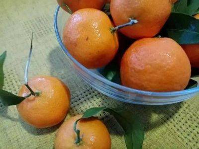 Как сделать кислые мандарины сладкими: метод без микроволновки - lifehelper.one