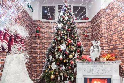 Где в квартире нельзя ставить елку: новогоднее дерево не простоит долго – 4 полезных совета - lifehelper.one