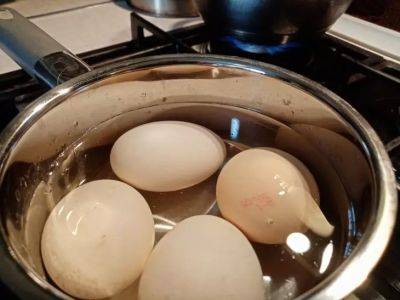 Как сделать так, чтобы варёные яйца не трескались: они будут хорошо чиститься – простой лайфхак - belnovosti.by