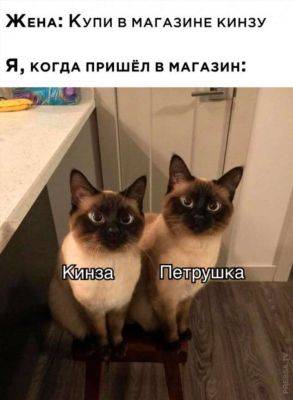 Мемы и картинки №48301223122023 - chert-poberi.ru