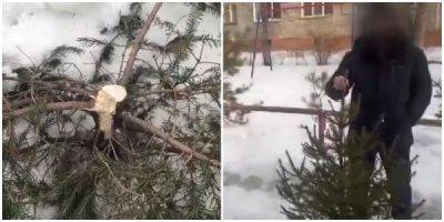 В Омске мужчина украл во дворе ёлку и подарил её своей девушке - porosenka.net - Омск