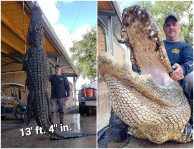 Охотник застрелил огромного аллигатора, который годами похищал скот - porosenka.net