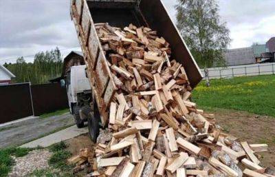 Какие дрова лучше всего подойдут для печки: самые экономичные, жаркие, чистые - chert-poberi.ru