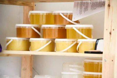 Как хранить дома мёд, чтобы он оставался вкусным и полезным: простые правила - lifehelper.one