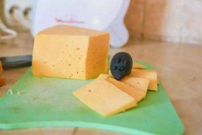 Как сохранить свежесть сыра: не пользуйтесь пищевой плёнкой - lifehelper.one
