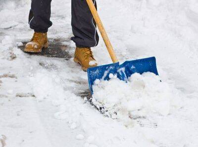 Что сделать, чтобы снег не прилипал к лопате: 4 варианта решения проблемы - lifehelper.one