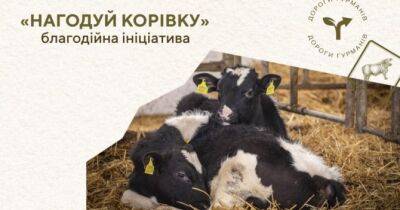 «Дороги гурманів» та Yakaboo збирають донати для відновлення роботи ферми на деокупованій Харківщині - womo.ua
