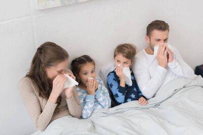 Почему эпидемии гриппа начинаются и почему заканчиваются? - lifehelper.one