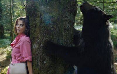 Стивен Кинг - Элизабет Бэнкс - Дата выхода фильма "Кокаиновый медведь" — реальная история о том, как медведь съел мешок кокаина - hochu.ua