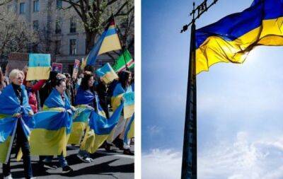 Владимир Зеленский - День единства в Украине: история и слова поддержки для близких - hochu.ua - Украина