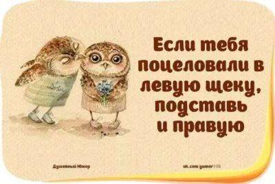 Нежный юмор для девушек и женщин. Подборка картинок и фото №lublusebya-negny-08200622012023 - lublusebya.ru