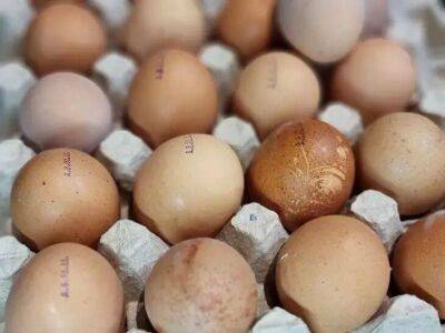 Как правильно хранить яйца - острым концом вниз или вверх: многие хозяйки допускают ошибку - lifehelper.one